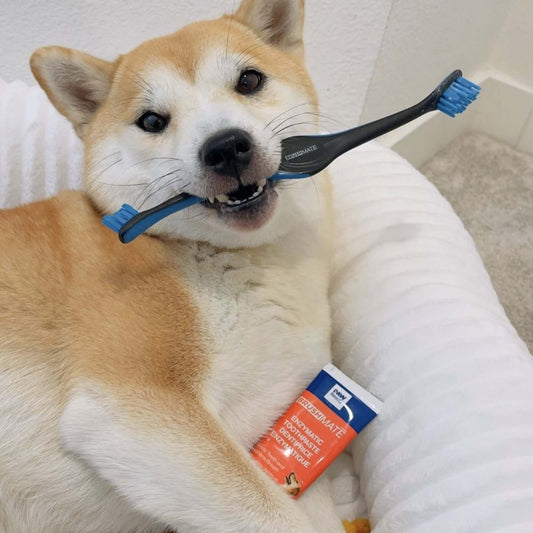 Six-Pack Double-Ended Pet Toothbrushes - View 2