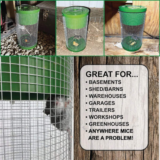 Multi-Catch Mouse Trap
