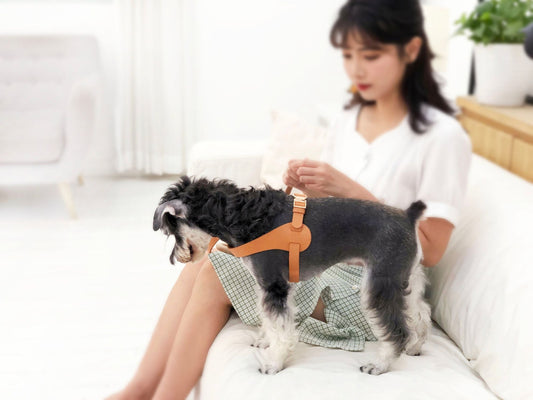Adjustable Pet Harness with Leather-Style Panels - View 2