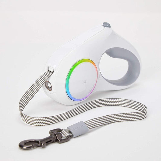 Retractable Dog Leash with LED Light - View 1