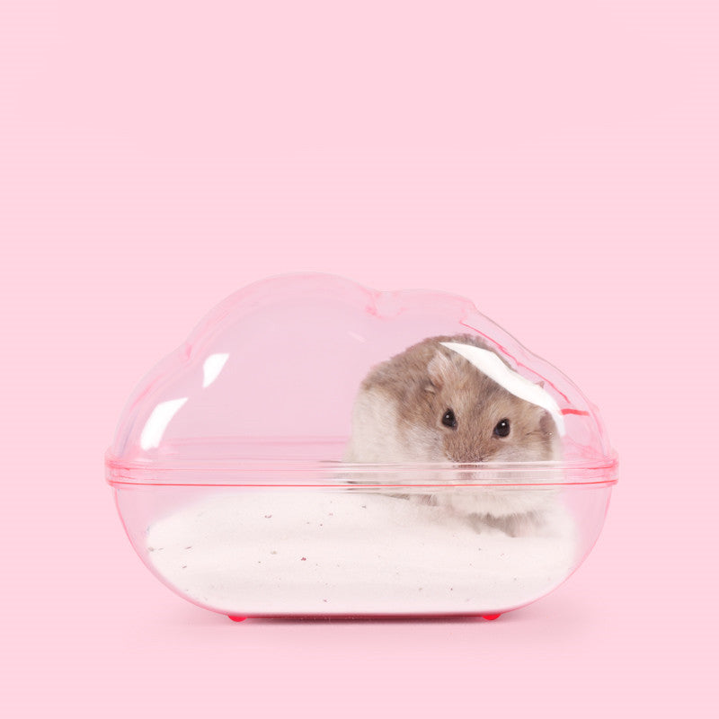 Covered Small-Pet Sand Bath with Style Options - View 6