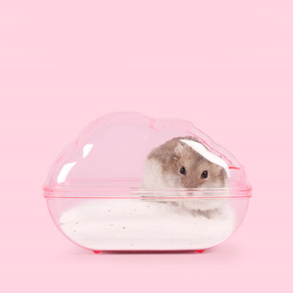 Covered Small-Pet Sand Bath with Style Options - View 6