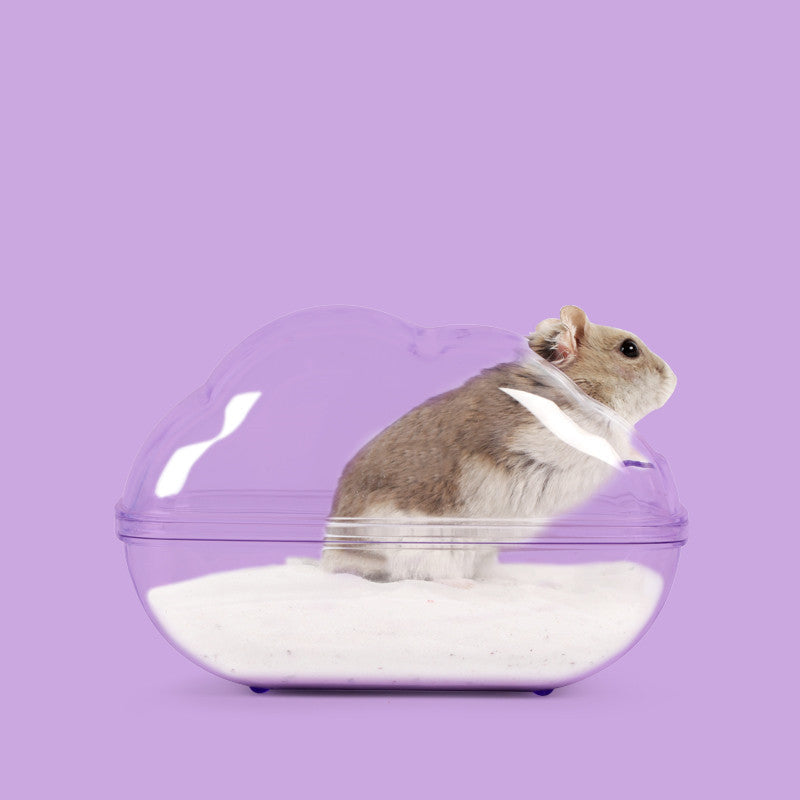 Covered Small-Pet Sand Bath with Style Options - View 12