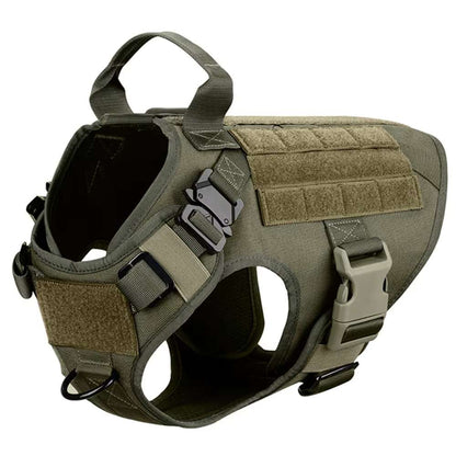 Camo Dog Harness and Leash Set