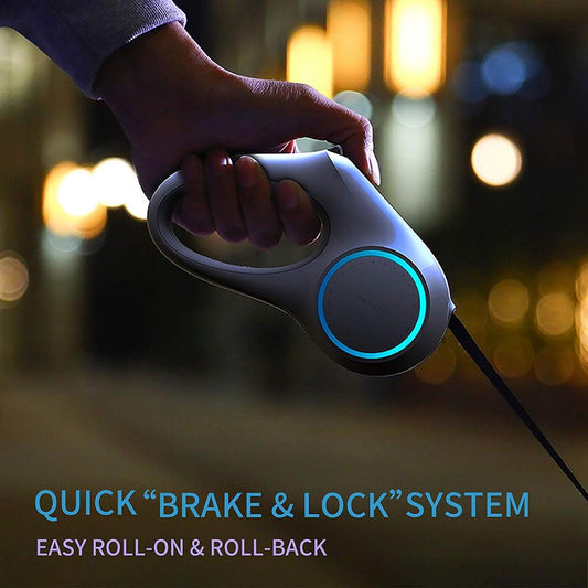 Retractable Dog Leash with LED Light - View 2