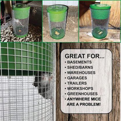 Multi-Catch Mouse Trap