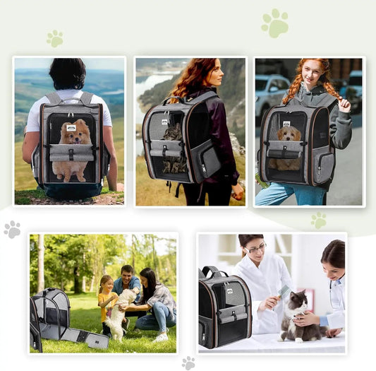 Mesh Pet Backpack with Expandable Options - View 2