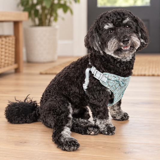 Reversible Mesh Dog Harness - product view 2