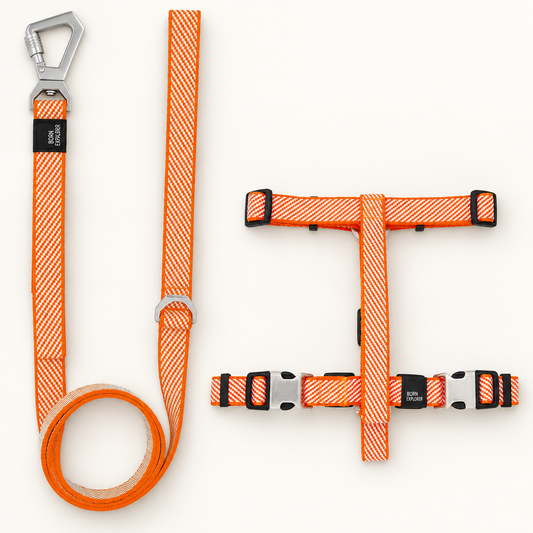 2-in-1 Convertible Dog Leash and Harness - main product view