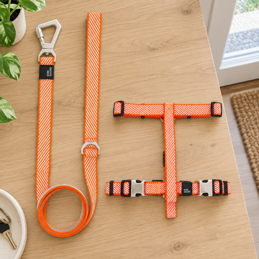 2-in-1 Convertible Dog Leash and Harness - product view 2