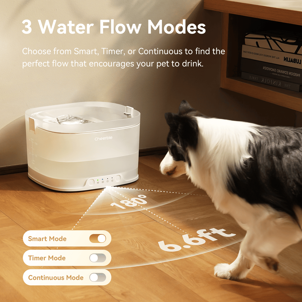 Rechargeable Pet Fountain with Removable Reservoir - View 5