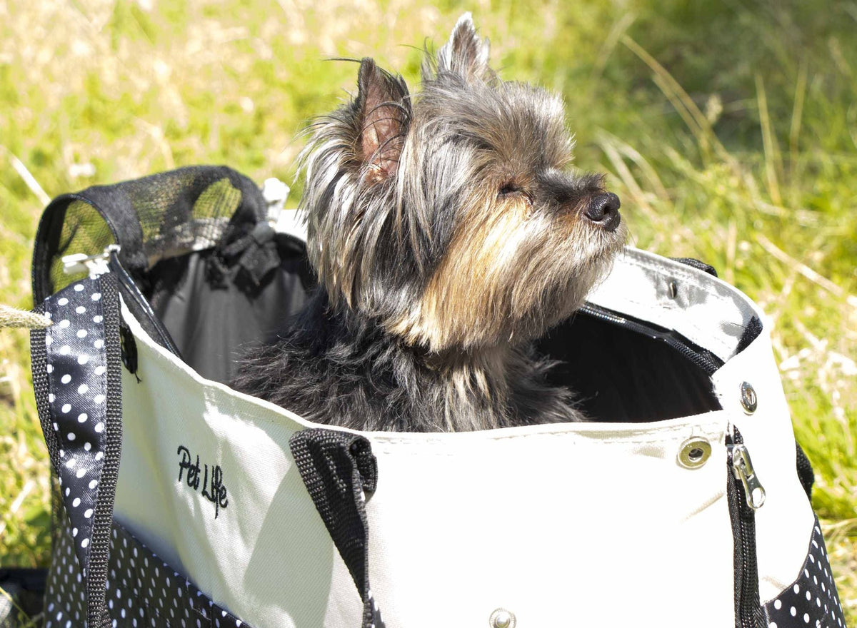 Polka-Dot Pet Tote with Mesh Top - View 3