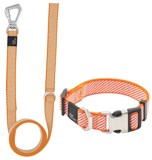 Convertible Dog Leash and Collar Set - View 1