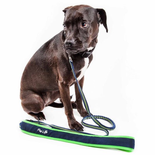 Over-the-Shoulder Dog Leash with Shock-Absorbing Section - View 2