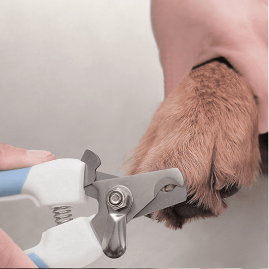 Pet Nail Clippers with Spring Handle - View 2